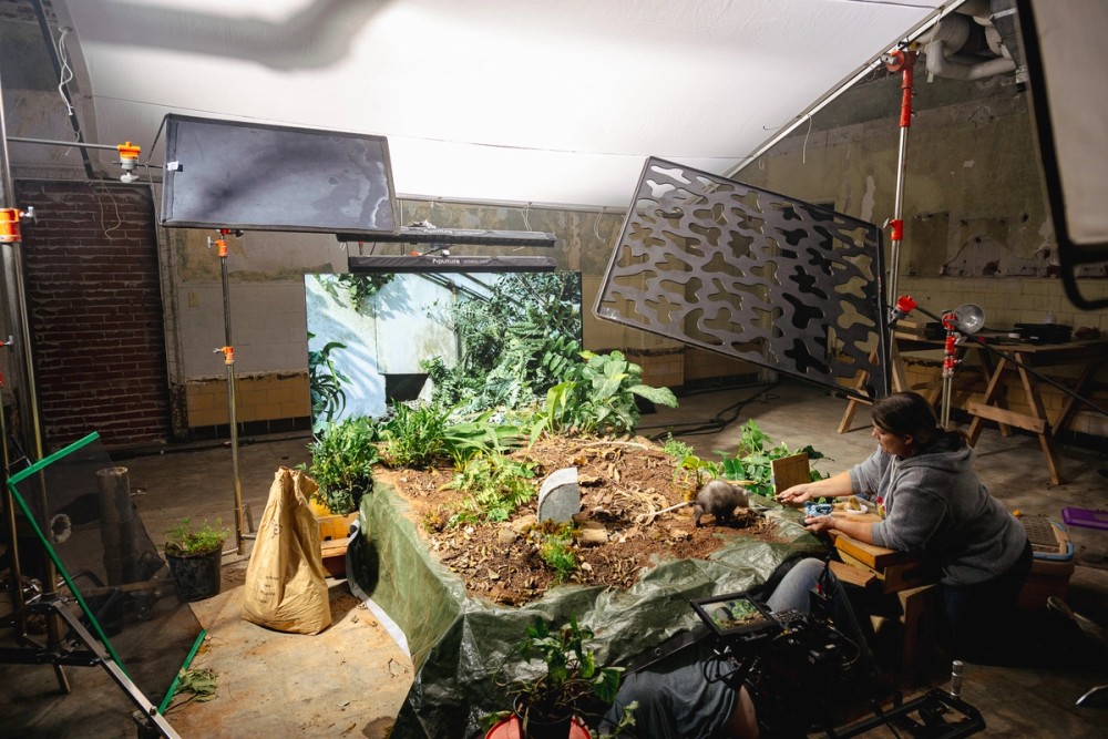 An Aputure STORM 1200x provides the key for a miniature set