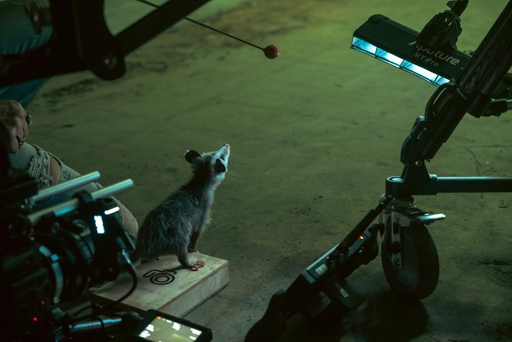 Nightmares of Nature