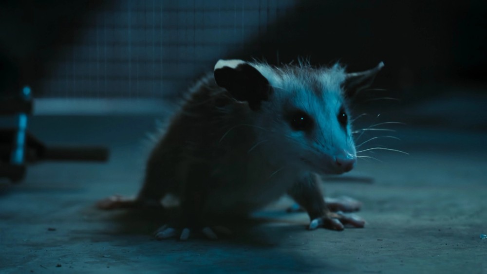 Nightmares of Nature still